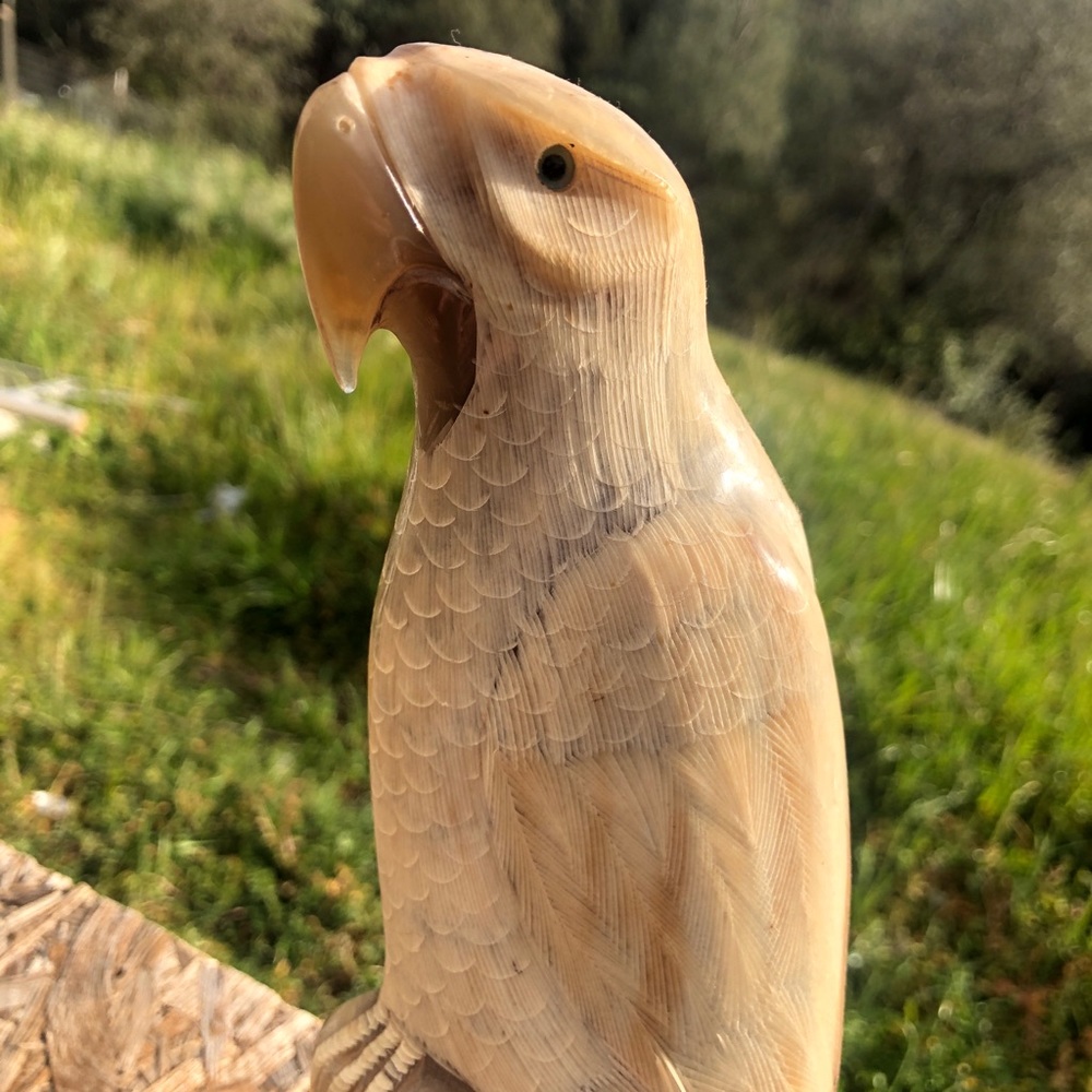 Hand carved bird out of Bull horn